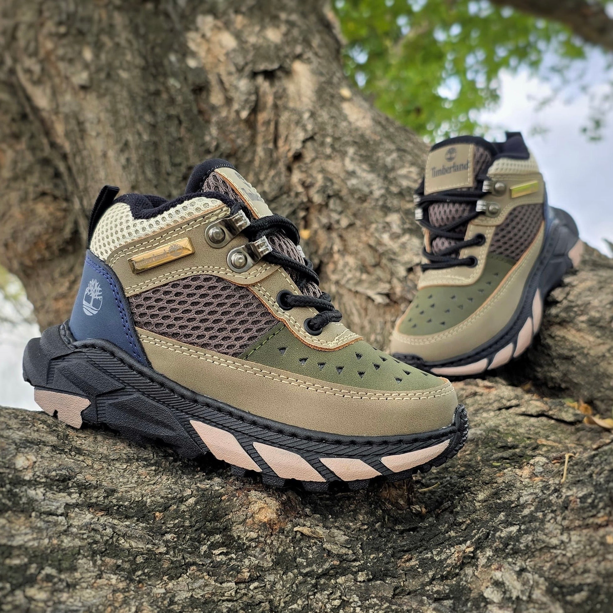 BOTA TIMBERLAND